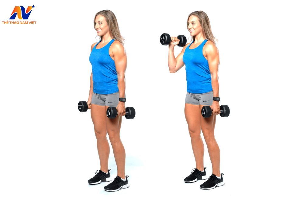 Bài tập uốn cong bắp tay